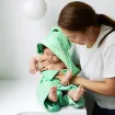 Picture of Frankie Frog Towel