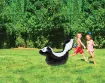 Picture of Funky The Skunky Lil 'Sprinkler