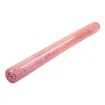 Picture of Sunny Life Ball Noodle Glitter - Neon