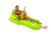 Picture of Giant Frog Pool Float