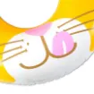 Picture of Cat Face Float