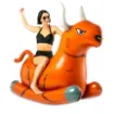 Picture of Paul Rucker Float