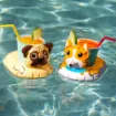 Picture of Frosted Donuts Drink Boats (3 Packs)