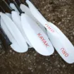 Picture of Euro Paddle For Kayak