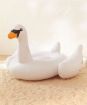 Picture of Duck 